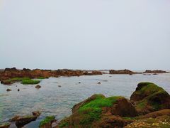 -八大关景区