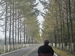 -黄海国家森林公园