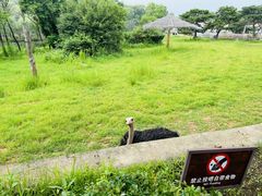 -沈阳森林动物园