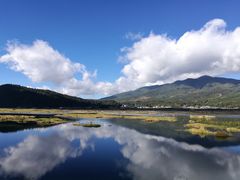 -腾冲北海湿地