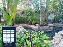 -三亚珠江南田温泉度假区