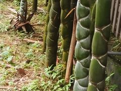 -黄公望隐居地