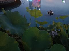 -秋水广场音乐喷泉