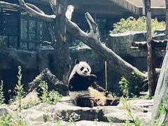 -宁波野生动物园