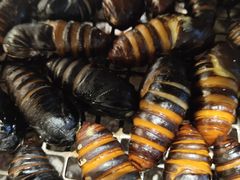 -悟烧·自助烤肉料理(秋林旗舰店)