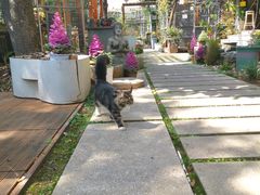 -谷咖啡·鲜花绿植花园餐厅