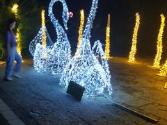 -昆山城市生态森林公园