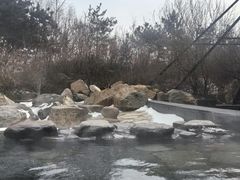 -大连大和馆观山阁温泉酒店