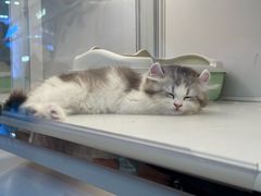 -昆山招商花园城