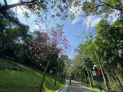 -云溪植物园