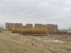 -东坝千亩湖公园