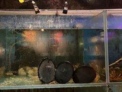 -辉记炭烧海鲜大排档·老字号(福田店)