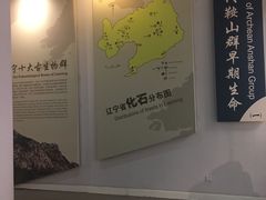 -辽宁古生物博物馆