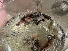 -小猫钓鱼海钓俱乐部(椰梦长廊店)