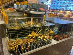 -品悦酒店(三林古镇店)