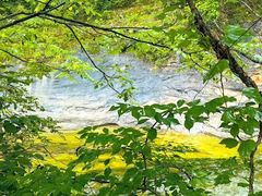 -青峰峡国家森林公园