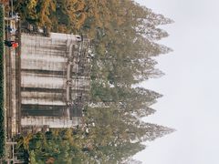 -音乐台