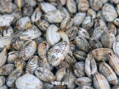 -渔中舟海鲜大排档(普陀沈家门店)