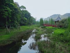 -广州市石门国家森林公园