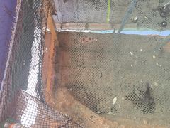 -蓝湾碧波·老字号·疍家非遗海上餐厅