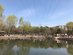 -黛秀湖公园