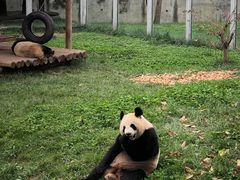 -西安秦岭野生动物园