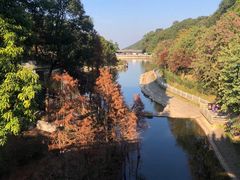 -广州市帽峰山景区