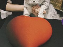 -慕叁山(青岛店)