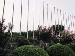 -南京奥林匹克体育中心-体育馆