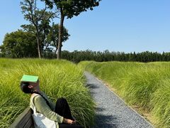 -汉长安城未央宫国家考古遗址公园