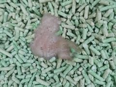 -美美宠物诊疗中心·异宠·骨科(滨江东信分院)