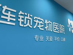 -贝利宠物医院·骨科·眼科·肿瘤转诊中心(南坪诊疗中心)
