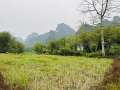 -明仕田园