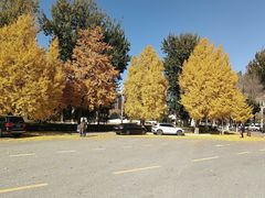 -中国农业博物馆