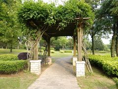 -福建鲤鱼洲酒店