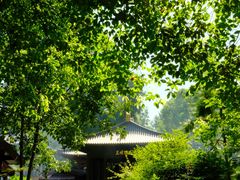 -西安大兴善寺