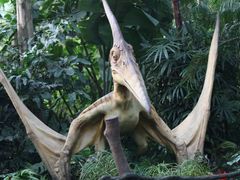 -广州长隆野生动物世界