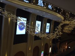 -纵横国际影城杜比全景声巨幕(天安云谷店)