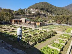 -宁波九龙湖开元度假村