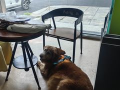 -芭比堂爱心动物医院(柯桥康爱分院)