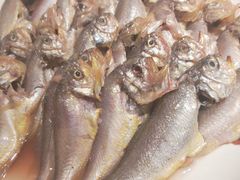 -日丰园海肠水饺·老字号大连海鲜(和平广场店)
