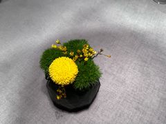 -南堂馆·新川菜(春熙路店)