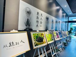 -太湖雪蚕桑文化园