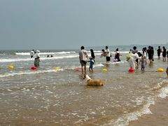 -日照海滨国家森林公园