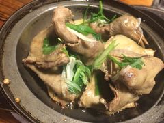 -旺金鸽(穗盐路总店)