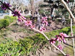 -南通博物苑-崇川人民公园