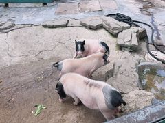 -宁波野生动物园