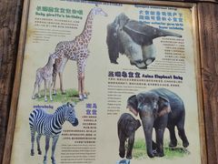 -长鹿旅游休博园