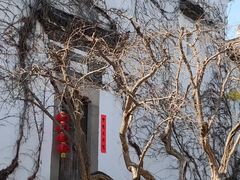-朵云书院·广富林店