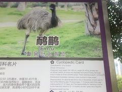 -灵玲国际马戏城